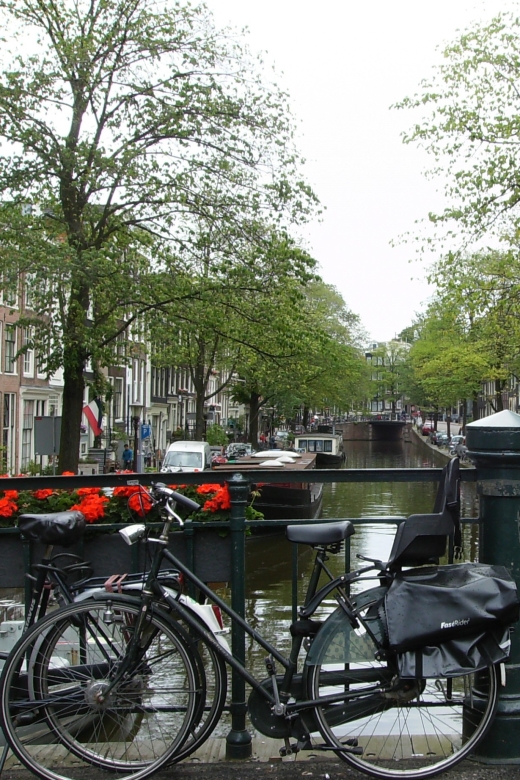 2.5-Hour Amsterdam Sightseeing Tour by Bike - Should you book this Amsterdam 2.5-hour bike tour?