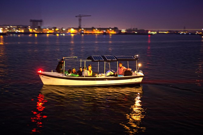 90-min Amsterdam Light Festival Tour - Route Sweep: Canal District, Jordaan, and the Amstel River