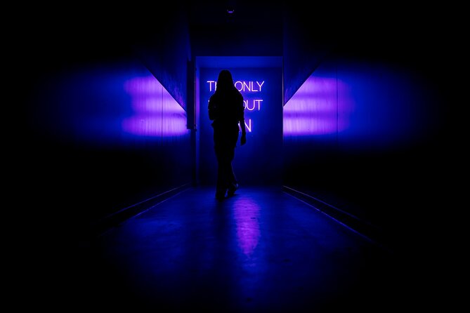 AMAZE Amsterdam: Immersive Audiovisual Experience - Pace, Group Size, and When You Should Book a Time Slot