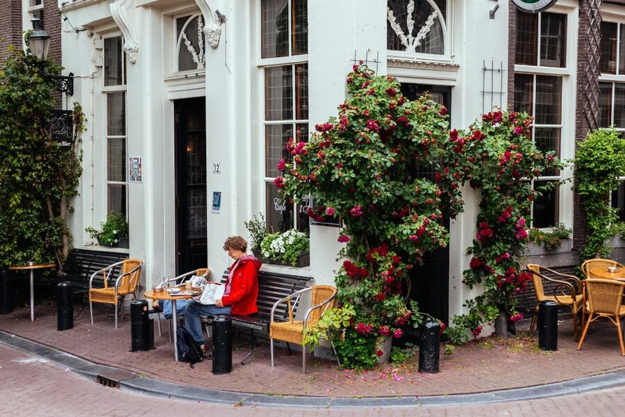 Amsterdam: 1.5-Hour Private Kick-Start Tour with a Local - Timing, comfort, and the little logistics that matter