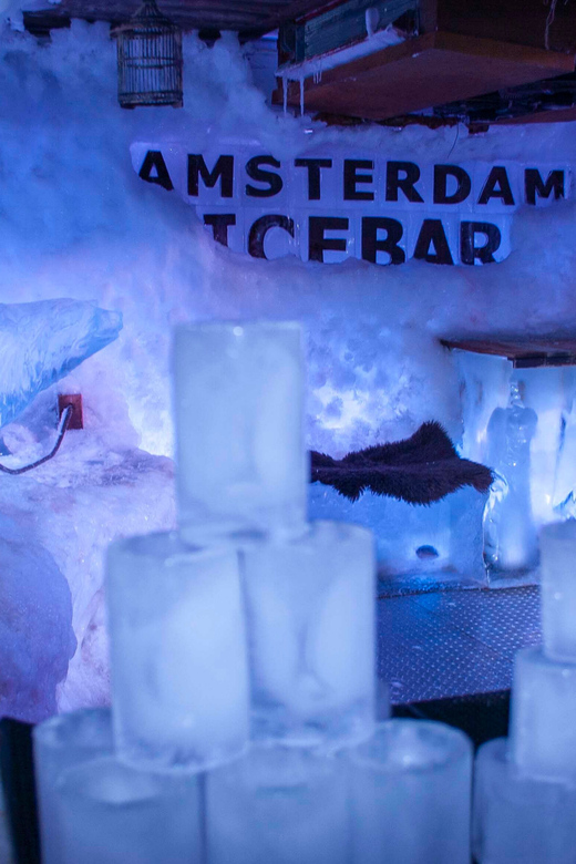 Amsterdam: 24-Hour Hop-On Hop-Off Boat and XtraCold Icebar - What Your $52 Ticket Actually Buys in Amsterdam