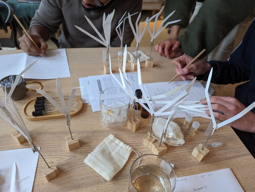 Amsterdam: 3-Hour Mindful Perfume-Making Workshop - The Call: Should You Book This Mindful Perfume Workshop?