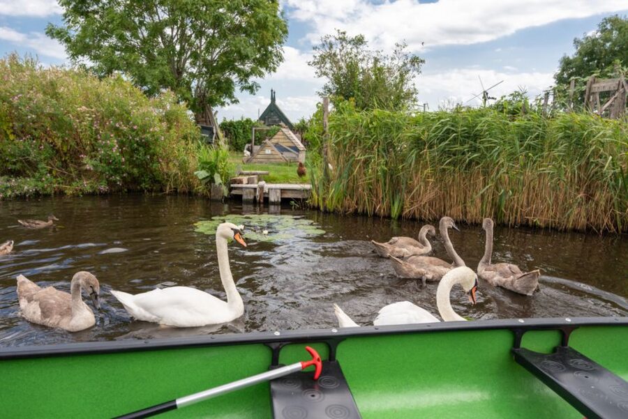 Amsterdam 5-Hour Guided Canoe Trip in the Wetlands - Windmills, possible swim time, and the return to the village house