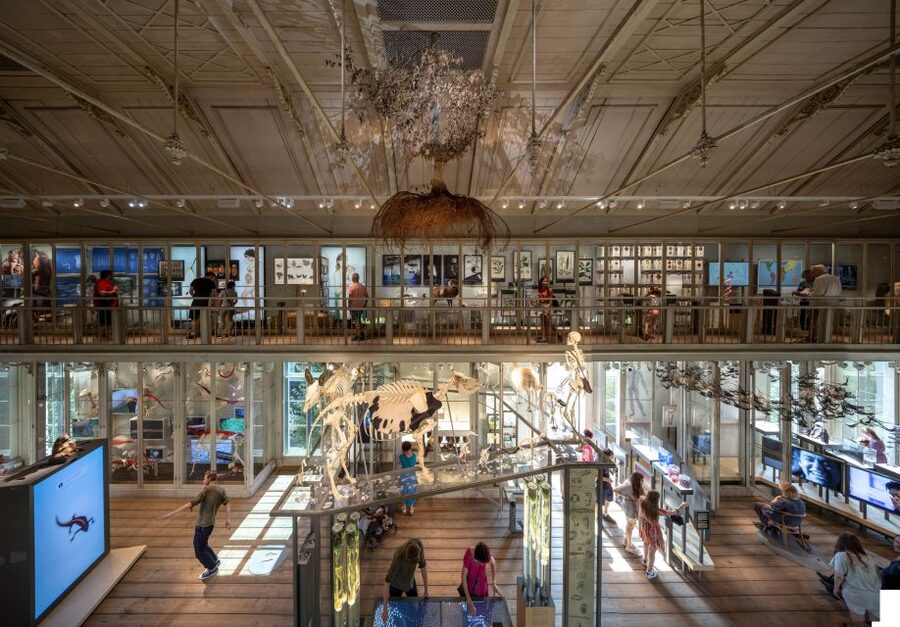 Amsterdam: ARTIS-Groote Museum Entry Ticket - Why ARTIS-Groote Museum feels different than a typical indoor museum