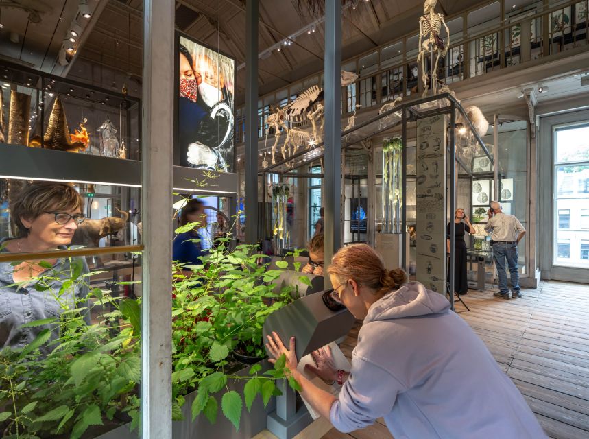 Amsterdam: ARTIS-Groote Museum Entry Ticket - How the museum teaches ecosystem connection without feeling like a lecture