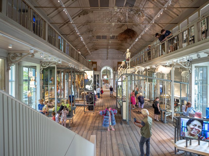 Amsterdam: ARTIS-Groote Museum Entry Ticket - Family visits and pacing: what works best for different groups