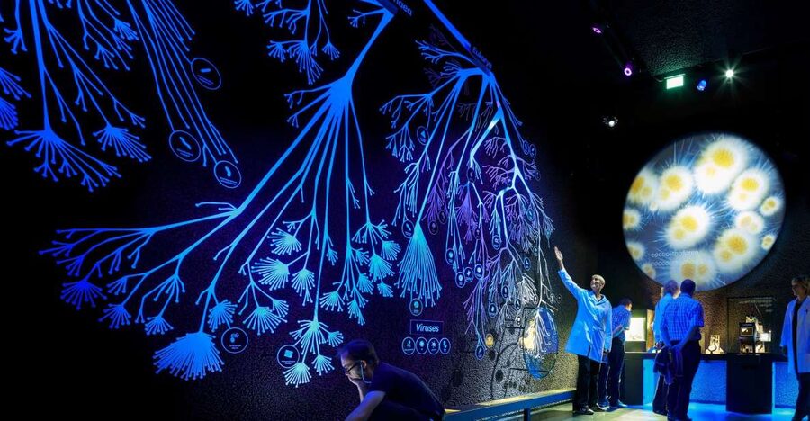 Amsterdam: ARTIS-Micropia Microbe Museum Entry Ticket - Lab talks in front of the Laboratorium: the daily beat you should plan around