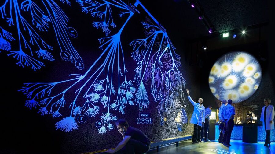Amsterdam: ARTIS-Micropia Microbe Museum Entry Ticket - Nearby add-ons in the ARTIS complex: how to build a full day