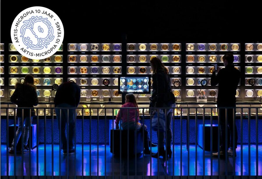 Amsterdam: Artis Royal Zoo & ARTIS-Micropia Combo Ticket - A One-Ticket Day for Zoo Animals and Microbe Science