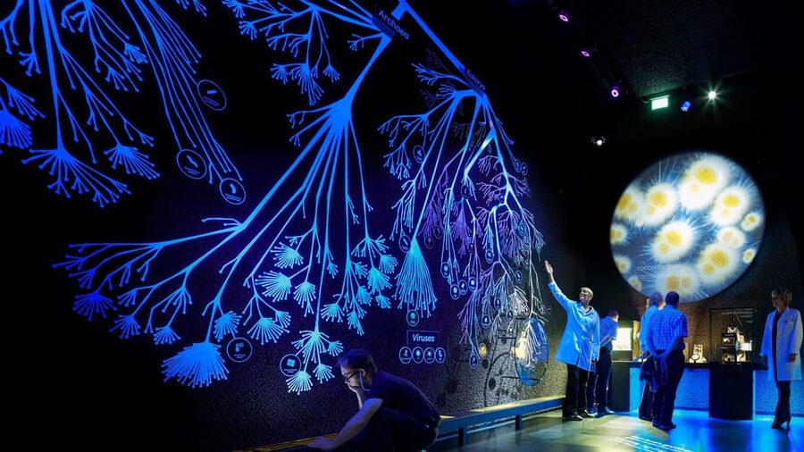 Amsterdam: Artis Royal Zoo & ARTIS-Micropia Combo Ticket - Planetarium Included: A Space Break Between Animals