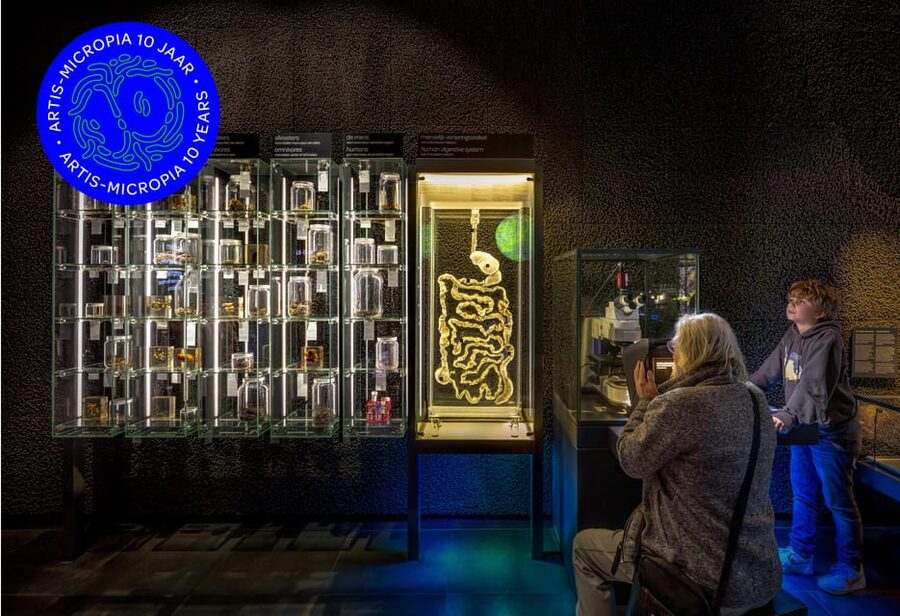Amsterdam: Artis Royal Zoo & ARTIS-Micropia Combo Ticket - Timing Your Day: One Slot for Micropia, Freedom for the Zoo