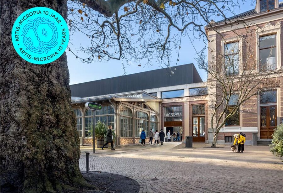 Amsterdam: Artis Royal Zoo & ARTIS-Micropia Combo Ticket - Price and Value: Why $55 Can Make Sense