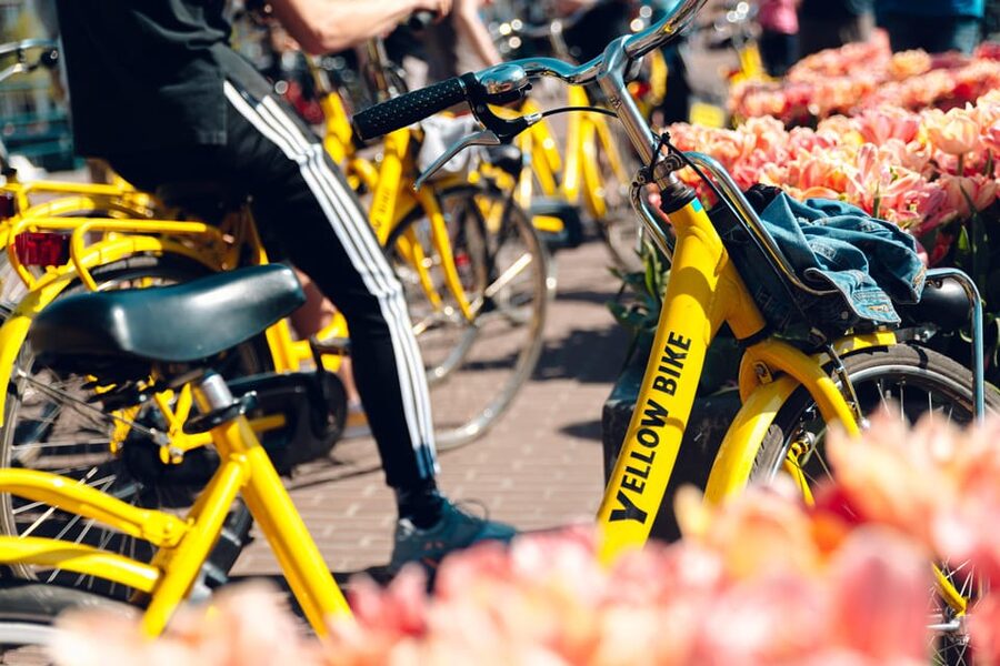 Amsterdam Bike Rental: Central Station & City Center - Key Highlights Worth Knowing