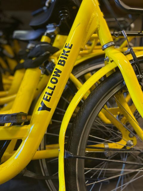 Amsterdam Bike Rental: Central Station & City Center - Who This Rental Fits Best (and Who Should Consider Another Option)