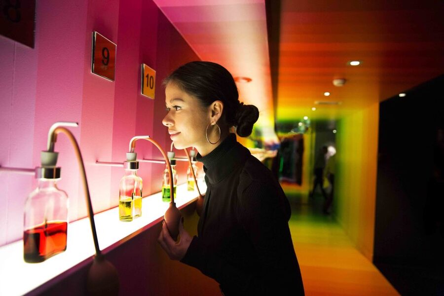 Amsterdam: Bols Cocktail Experience Entry Ticket - Practical tips: when to go, and how to get the best experience