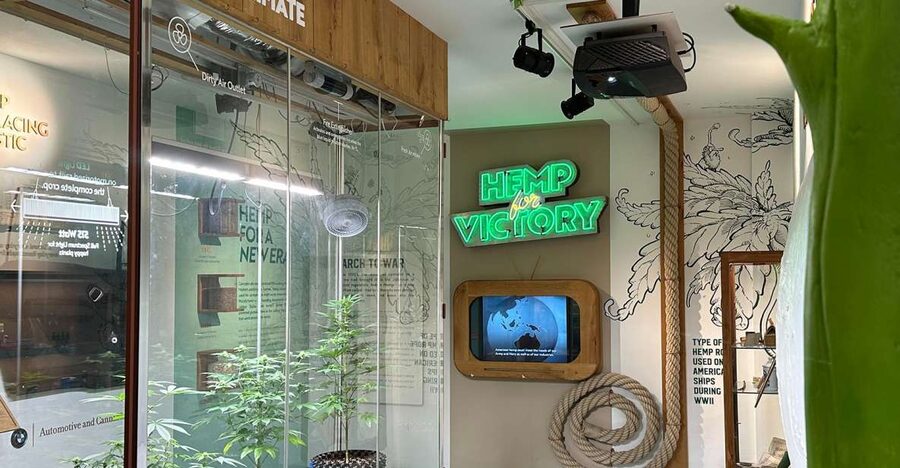 Amsterdam: Cannabis Museum Entry Ticket - Live Plants, Microscope, and a Testing Machine: Where It Gets Interesting