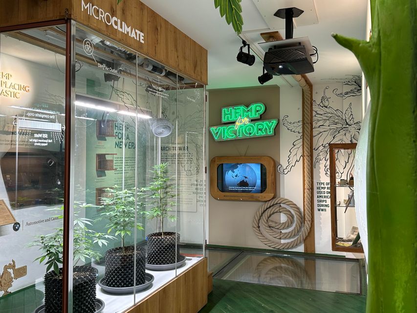 Amsterdam: Cannabis Museum Entry Ticket - The 3-Floor Layout: Interactive Exhibits Without the Museum Marathon