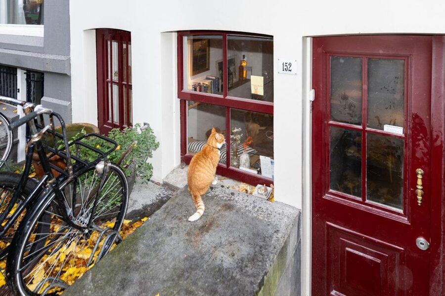 Amsterdam Central Walking Tour - Key highlights worth your attention