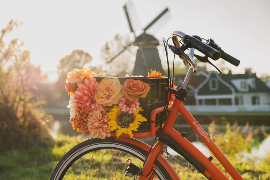 Amsterdam: Cheese Tasting, Windmill & Countryside Bike Tour - The Ferry Ride and the Return Back to Central Amsterdam