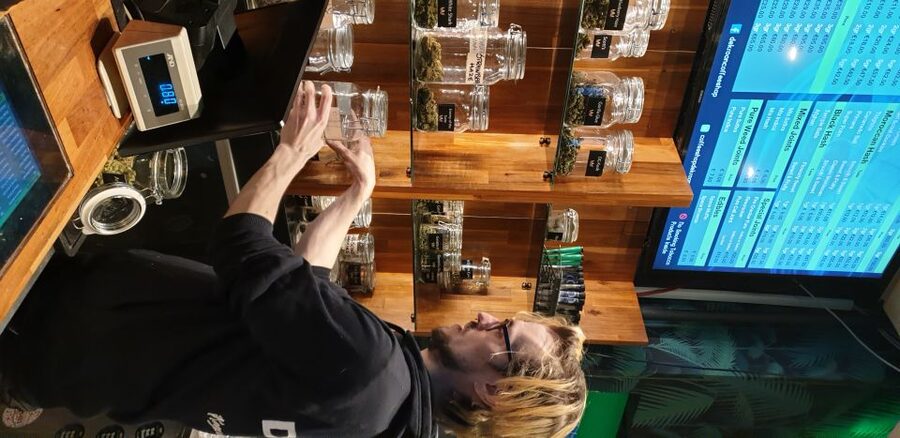 Amsterdam: Coffee Shops Walking Tour - Cannabis Culture and Amsterdam Politics, Explained by a Local Guide