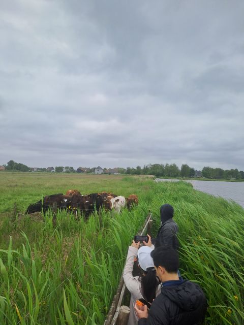Amsterdam: Countryside Bike and Kayak Guided Tour - Key highlights worth showing up for