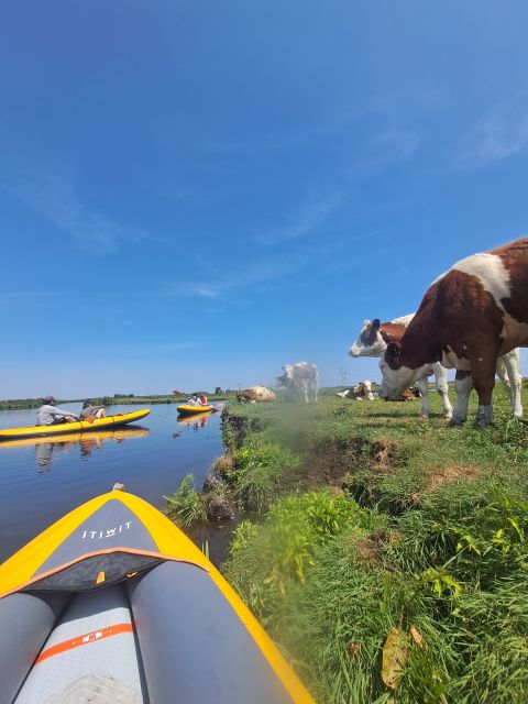 Amsterdam: Countryside Bike and Kayak Guided Tour - Who this tour suits best, and who might want a different plan