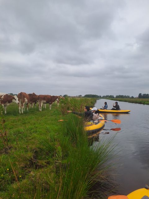 Amsterdam: Countryside Bike and Kayak Guided Tour - Why this bike-to-kayak day feels like a shortcut to real Dutch countryside