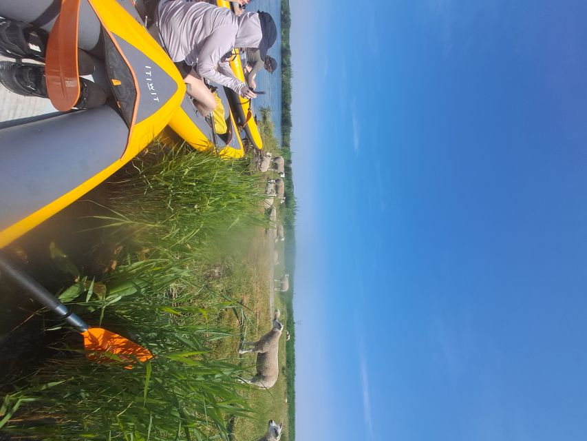Amsterdam: Countryside Bike and Kayak Guided Tour - Lunch and the one-hour break: eating well in a church setting