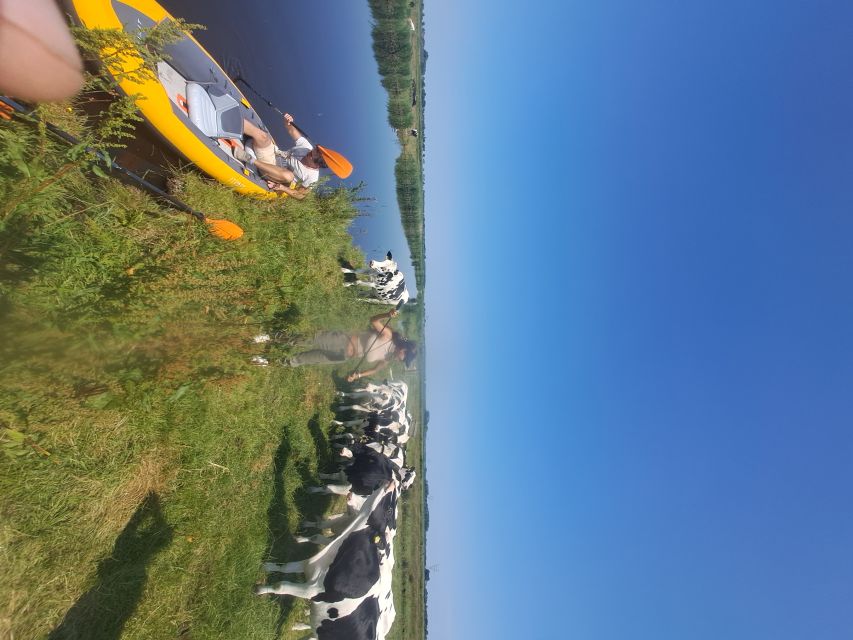 Amsterdam: Countryside Bike and Kayak Guided Tour - Tristan’s small-group style: safe, patient, and good at keeping you together