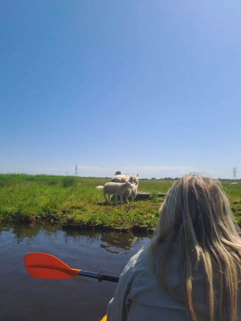 Amsterdam: Countryside Bike and Kayak Guided Tour - Meeting at ADAM Lookout and the easy ferry link
