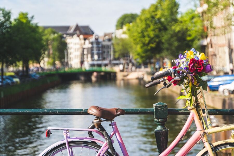 Amsterdam: Countryside Bike Tour - Photo stops and the best times to look up