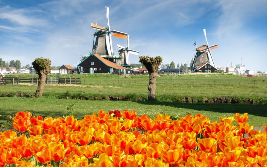 Amsterdam: Day Tour Keukenhof and Zaanse Schans Windmills - Ride comfort and timing: the real-world logistics that matter