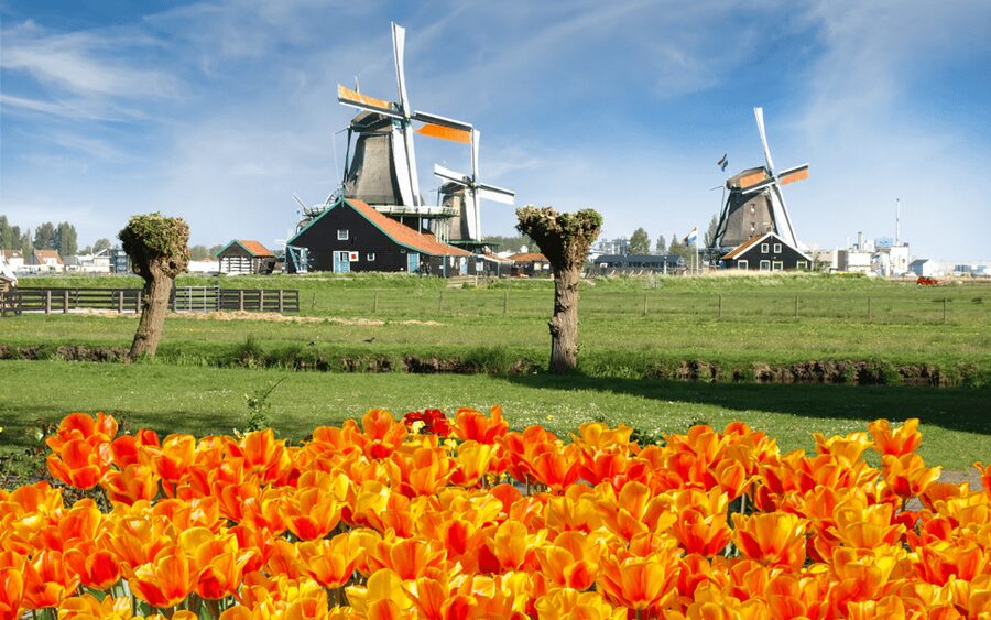 Amsterdam: Day Tour Keukenhof and Zaanse Schans Windmills - Clogs and cheese demos that make the Dutch day feel real