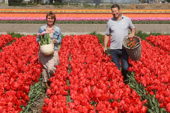 Amsterdam: Day trip to Tulip Farm, Keukenhof + Windmill Cruise - Meeting at This is Holland: The Easy Start You Should Not Skip