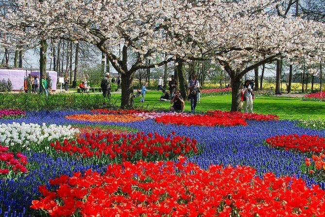 Amsterdam: Day trip to Tulip Farm, Keukenhof + Windmill Cruise - Who Should Book This Tour, and Who Might Not Love It