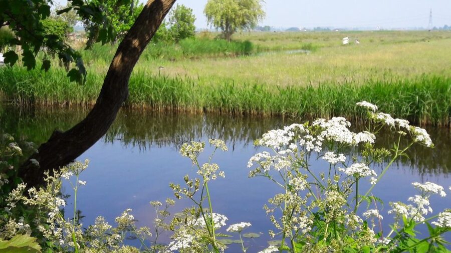 Amsterdam: Dutch Countryside Sunset Canoe Tour - What to bring and what your body should expect