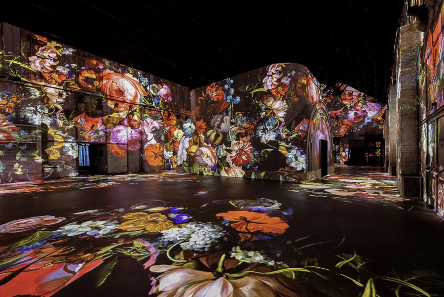 Amsterdam: Fabrique des Lumières Dutch Masters Ticket - Who should book this show, and who should skip it