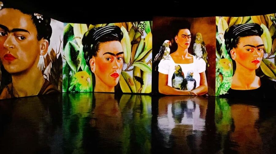 Amsterdam: Frida Kahlo Immersive & Photo Exhibition - Vincent Hall location: close to Centraal, easy to find