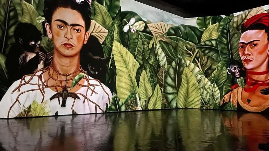 Amsterdam: Frida Kahlo Immersive & Photo Exhibition - The photo displays and diary excerpts: the emotional anchor