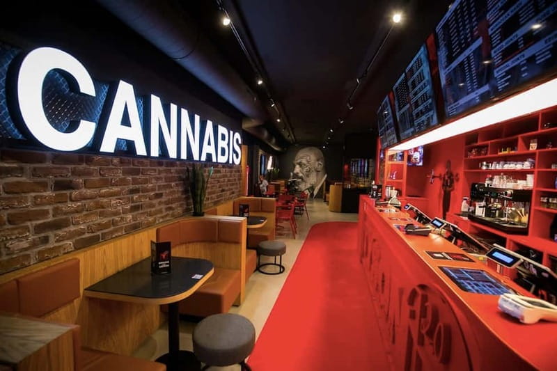 Amsterdam: Ganja Walking Tour - Erik the DJ guide: what the small-group format gets you