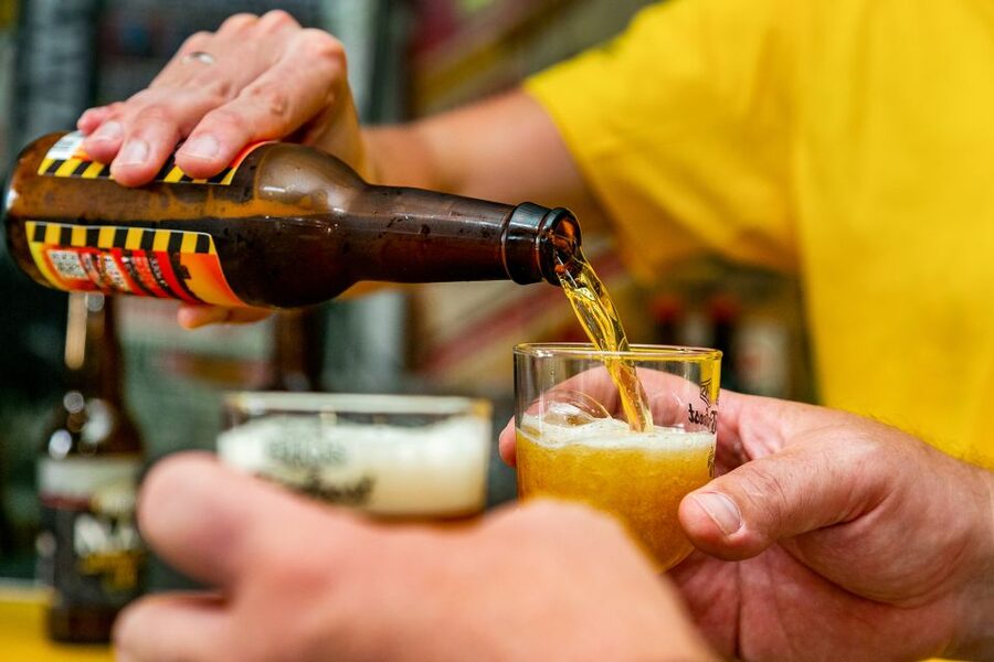 Amsterdam: Guided Craft Beer Brewery Bus Tour with Tastings - Should You Book This Amsterdam Brewery Bus Tour?