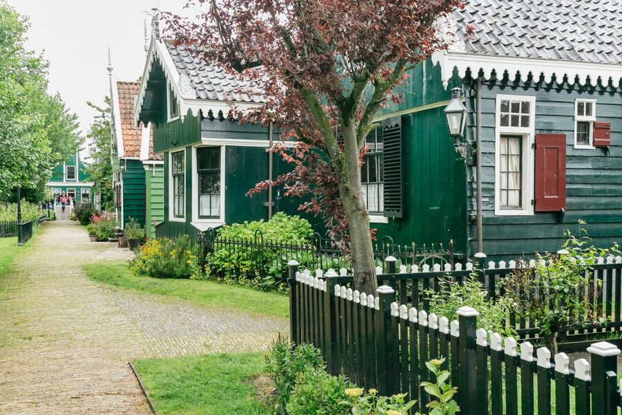 Amsterdam: Guided Zaanse Schans, Windmills & Cheese Tour - Timing and pacing: why 3.5 hours can feel short