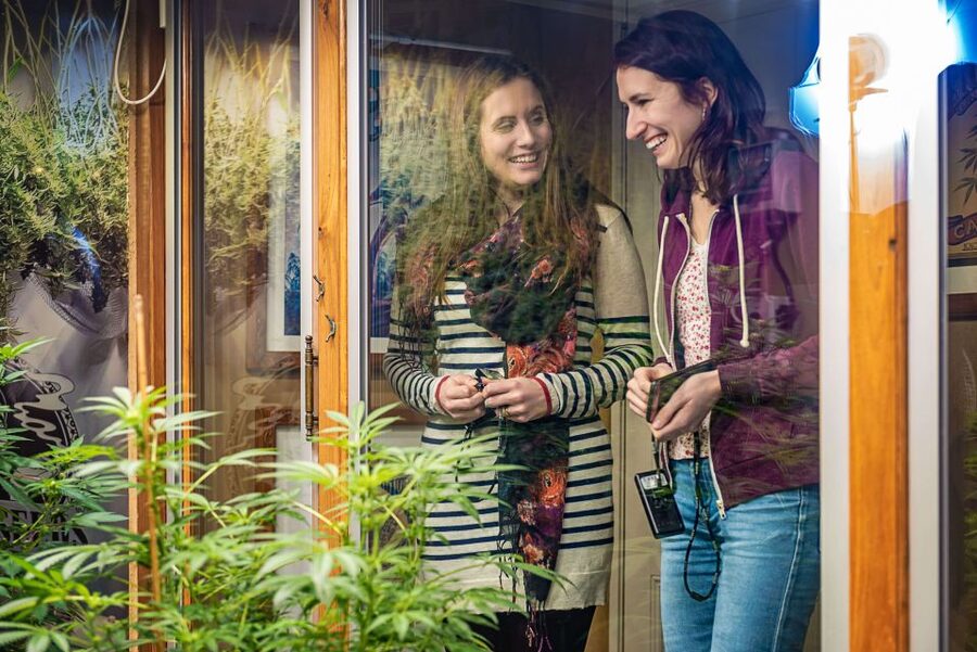 Amsterdam: Hash, Marihuana, and Hemp Museum Entry Ticket - Key highlights before you go