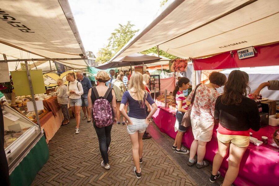 Amsterdam: Hidden Gems & Highlights Guided Bike Tour - Price and Value: What $44 Gets You in Real Terms