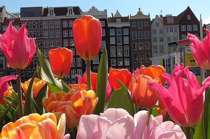 Amsterdam Highlights and Hidden Gems Walking Tour with Fun Guide - Canal Ring bridges: the 40-minute stretch that makes Amsterdam click