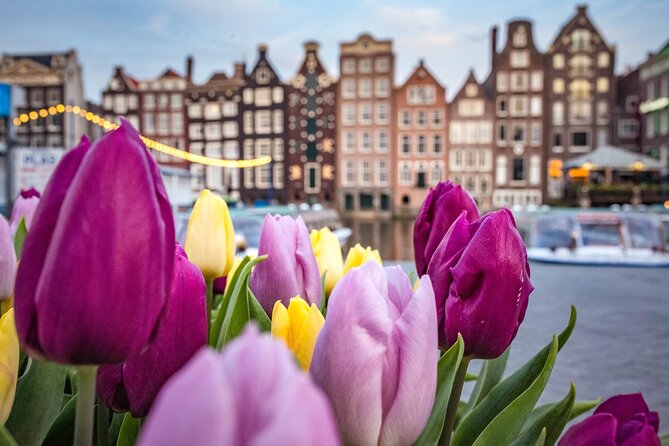 Amsterdam Highlights Walking Tour - Key points you will care about