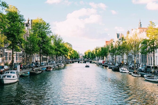 Amsterdam Highlights Walking Tour - Two hours of Amsterdam highlights for real value