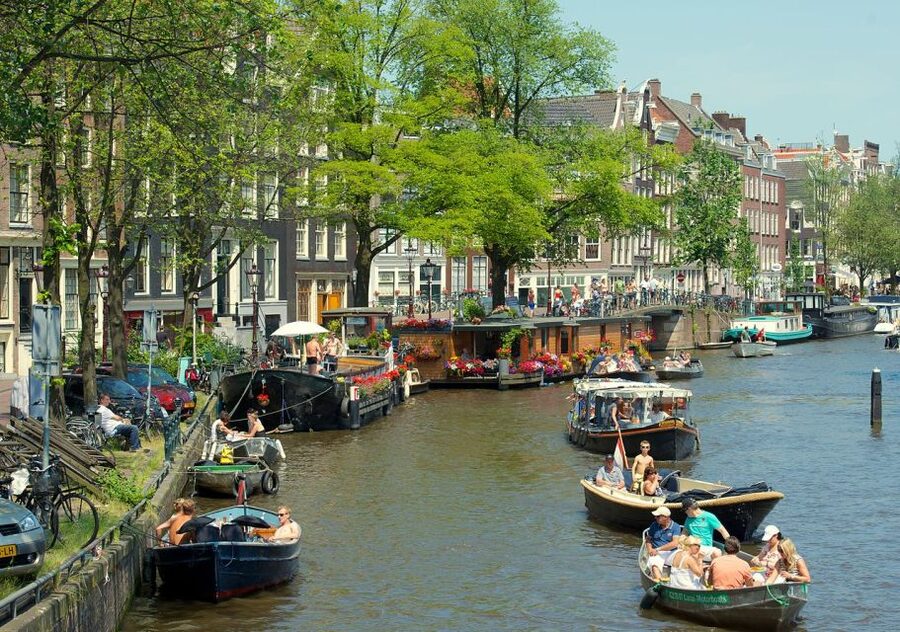 Amsterdam: Historic Walking Tour - Price and value: what $35 buys you in Amsterdam’s center