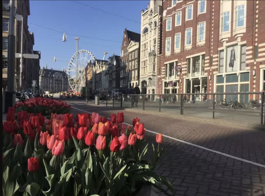 Amsterdam: History, Culture & Hidden Gems Walking Tour - What you do not get: no entry, so plan your own sights