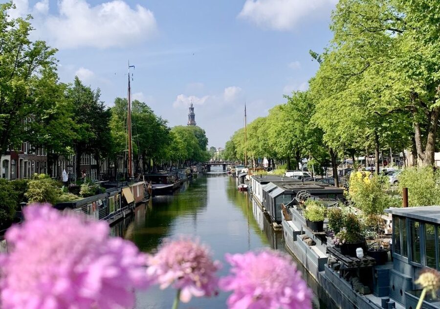 Amsterdam: Jordaan District Tour with a German guide - German guide energy, names you might meet, and the value of Q&A
